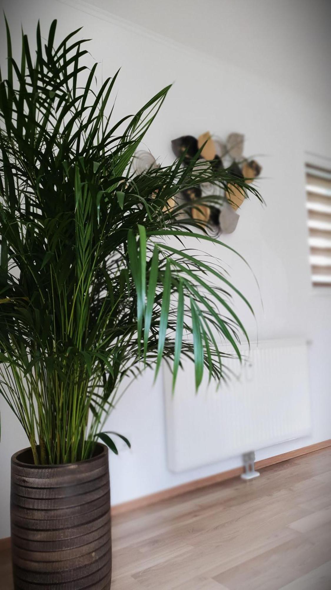 Ferienwohnung Blick Ins Gruene Rossleithen Exterior foto