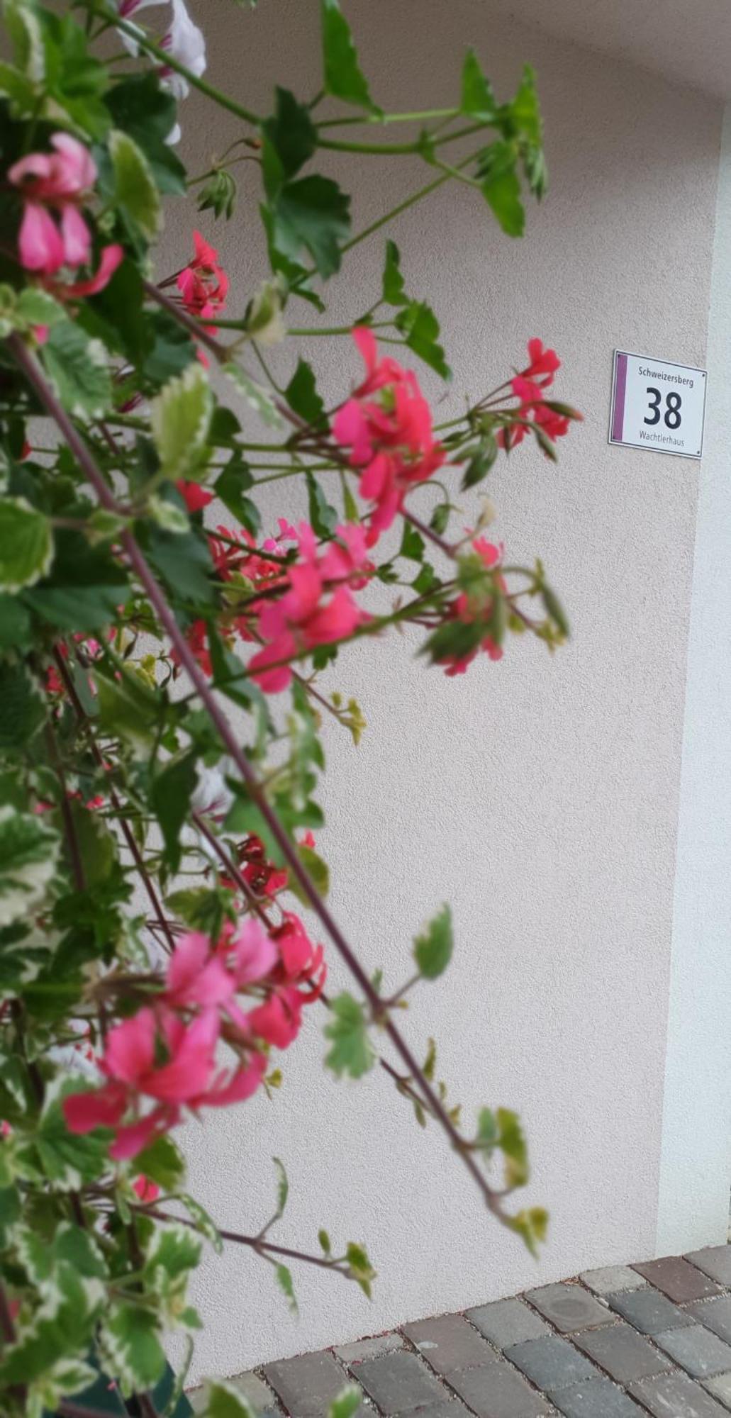 Ferienwohnung Blick Ins Gruene Rossleithen Exterior foto