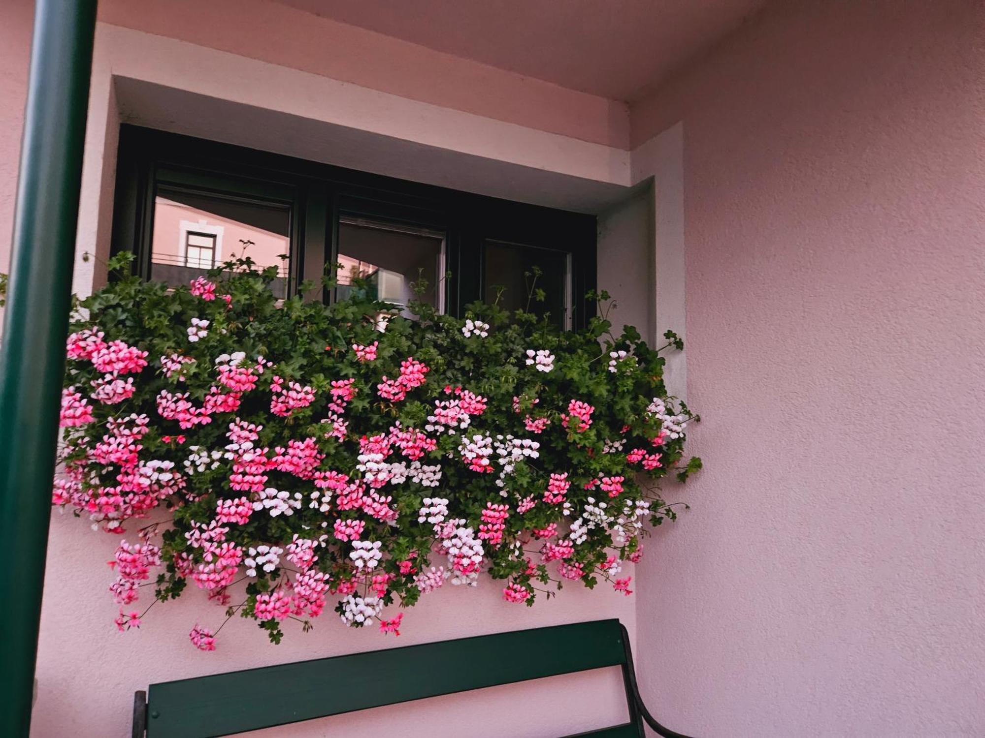 Ferienwohnung Blick Ins Gruene Rossleithen Exterior foto
