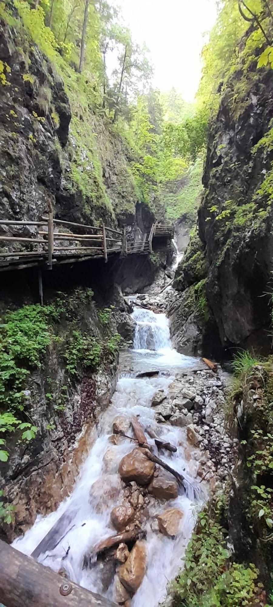 Ferienwohnung Blick Ins Gruene Rossleithen Exterior foto